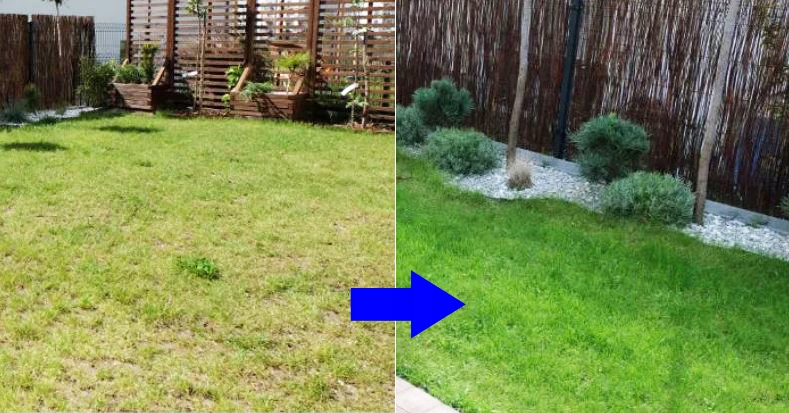 AERATOR SANDAŁOWY AREATOR WERTYKULATOR TRAW NAPOWIETRZACZ Głębokość robocza max 40 mm