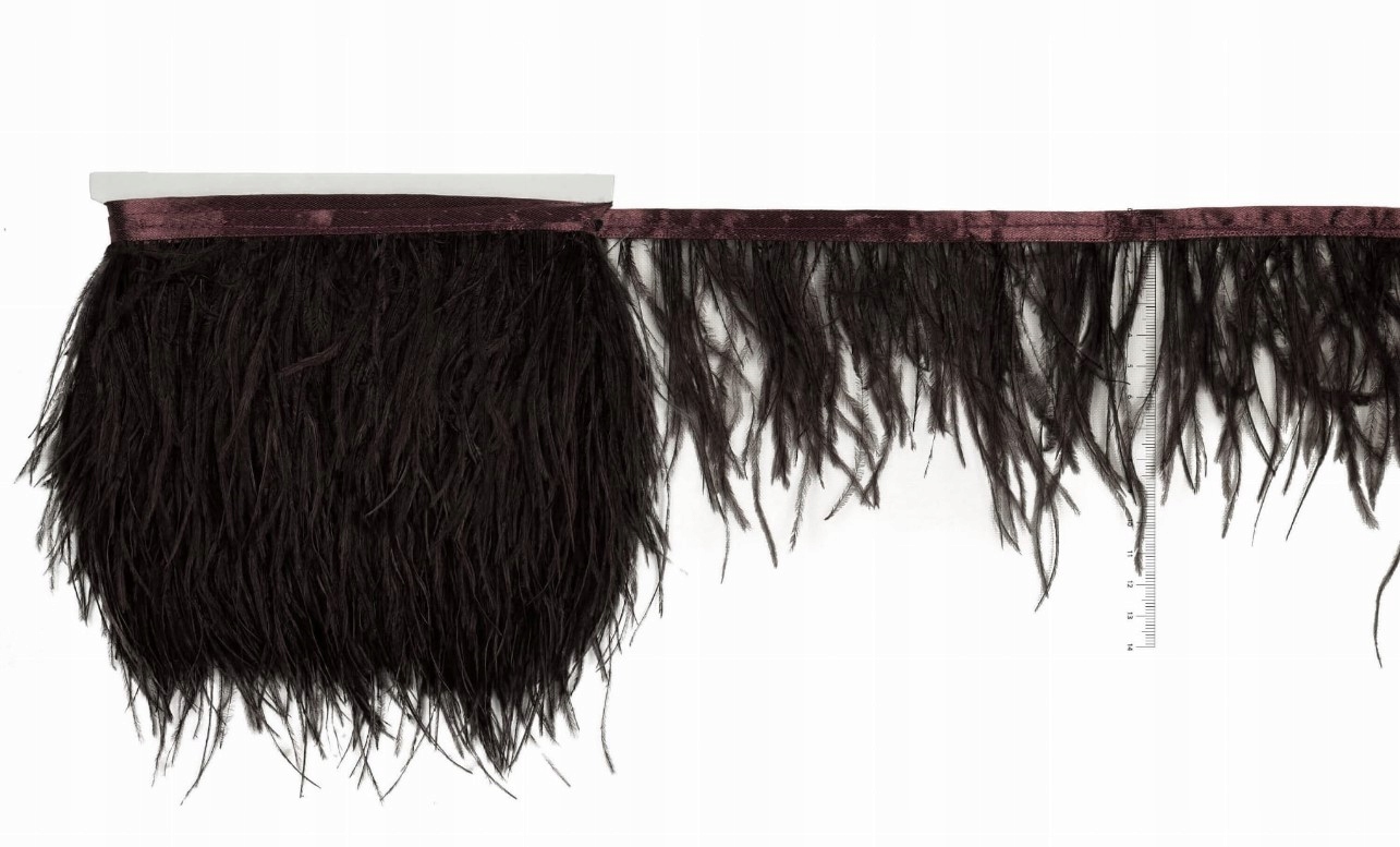 Pštrosí Peří Na Pásku Hnědé 10MB Premium