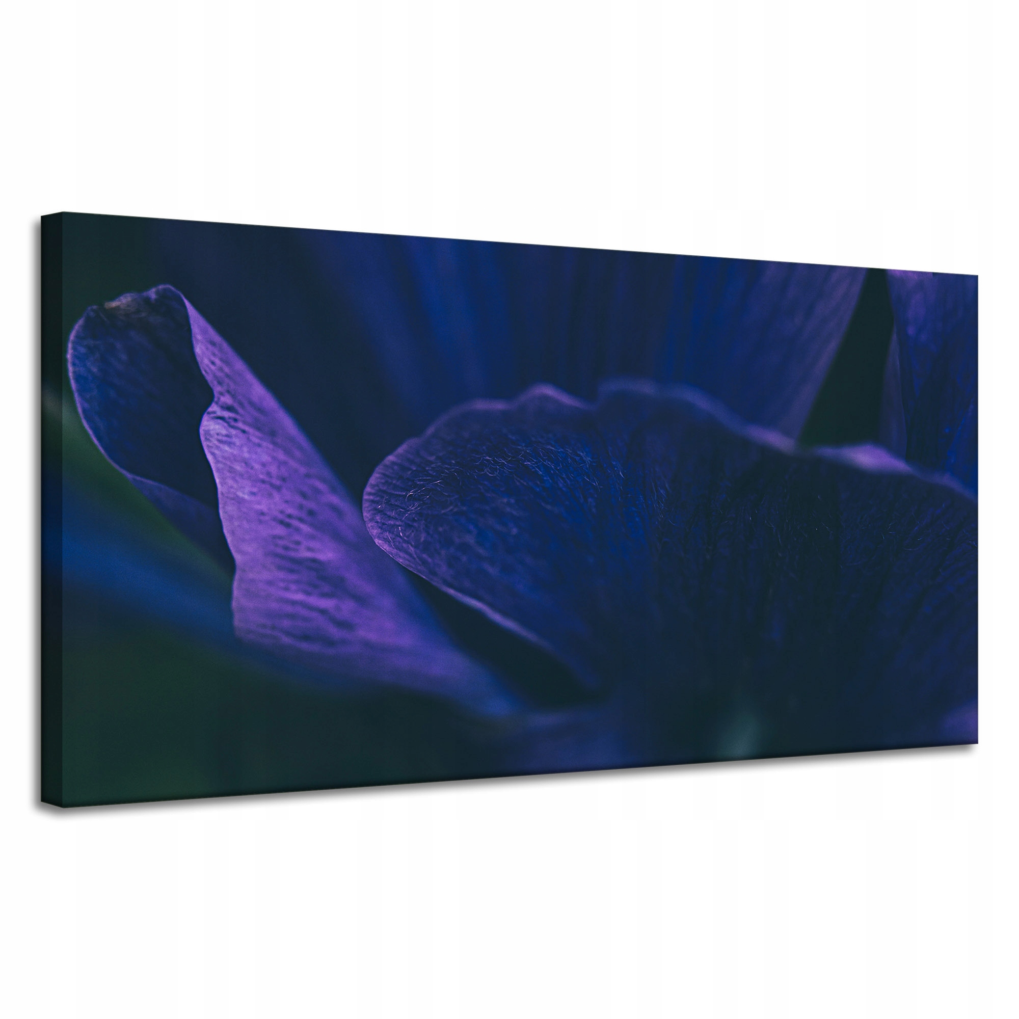 Obraz Canvas Botanika Vločky indigové barvy 120x60