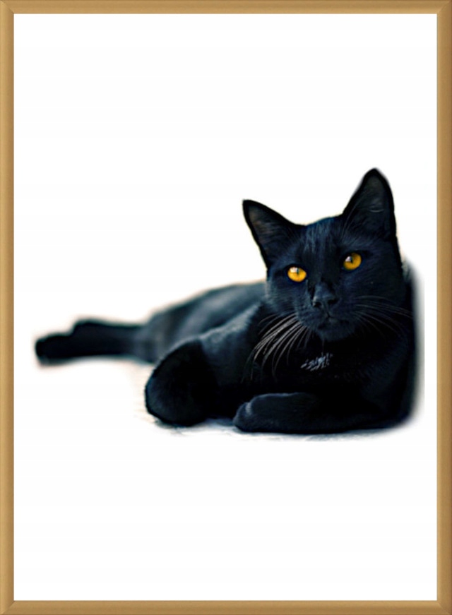 

Ramka aluminiowa Plexi 30x40 zdjęcia Złota