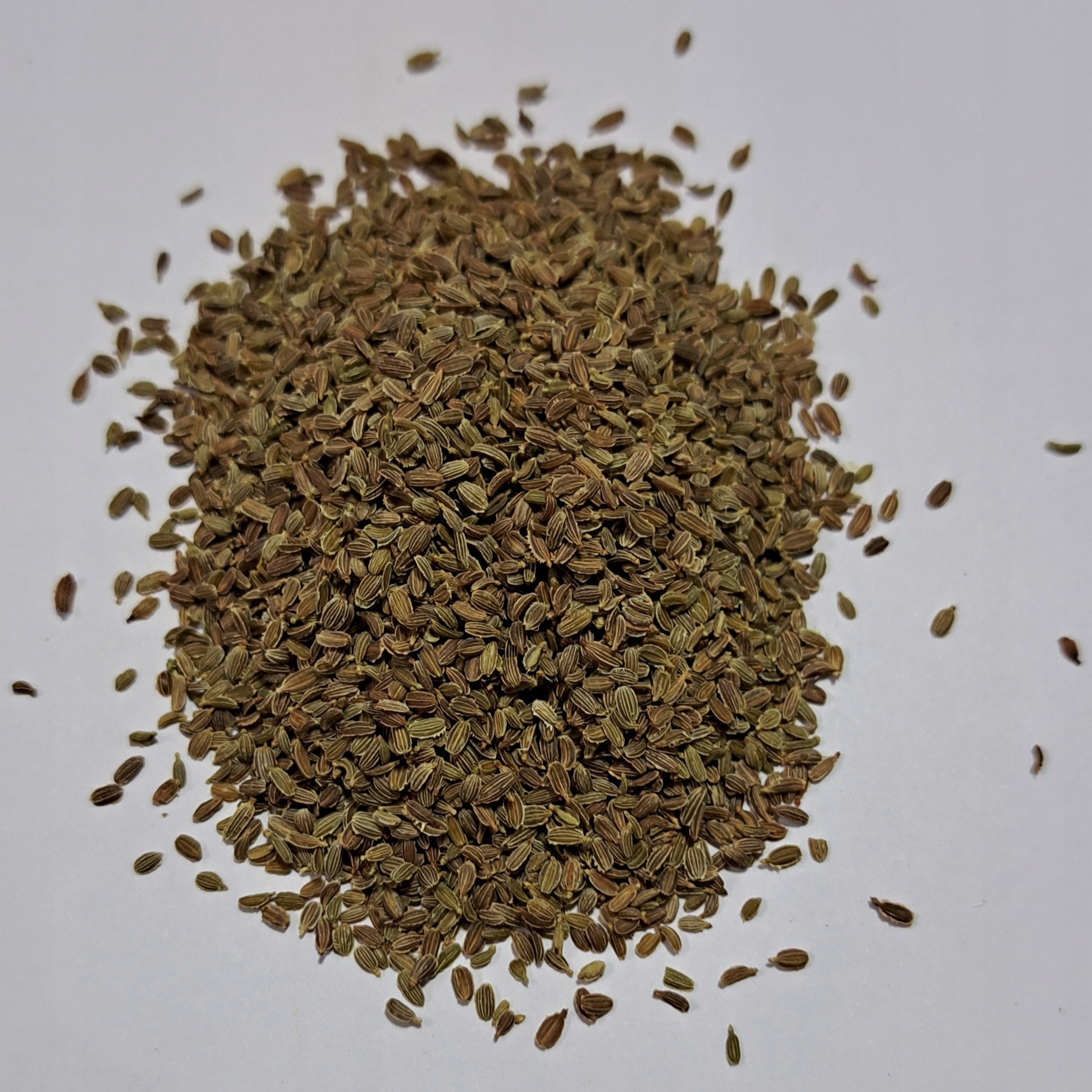 Mrkev Semena 1 kg Rafex