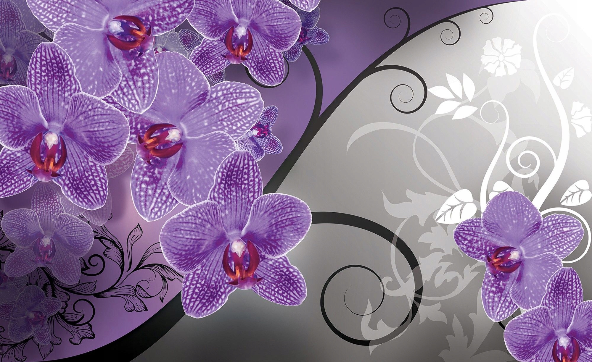 Fototapeta Fialové orchideje Květiny na zeď Elegance 200x140 lepidlo