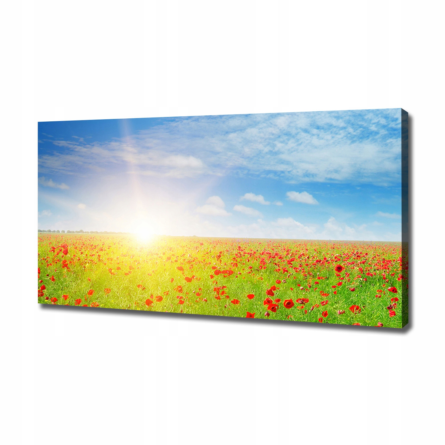 

Foto obraz canvas na ścianę Pole maków 120x60 cm