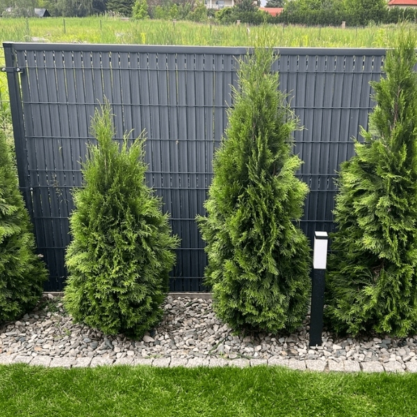 ZIELONA OSŁONA NA PŁOT LISTWY NA OGRODZENIE PANELE LAMELE 122X250CM EAN (GTIN) 5906952340421