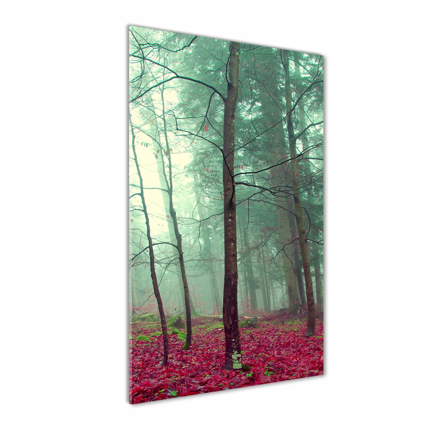 

Foto obraz szkło hartowane Las jesienią 60x120 cm