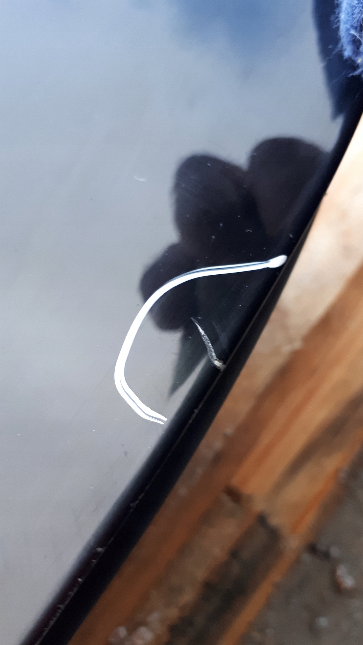 A4 B8 S4 door left rear part sedan LY9B 120um