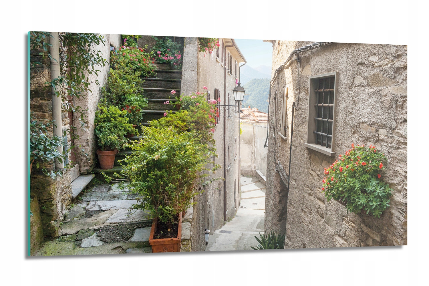 dekor Alejka budovy kvety stenové 120x60 s fotografiou