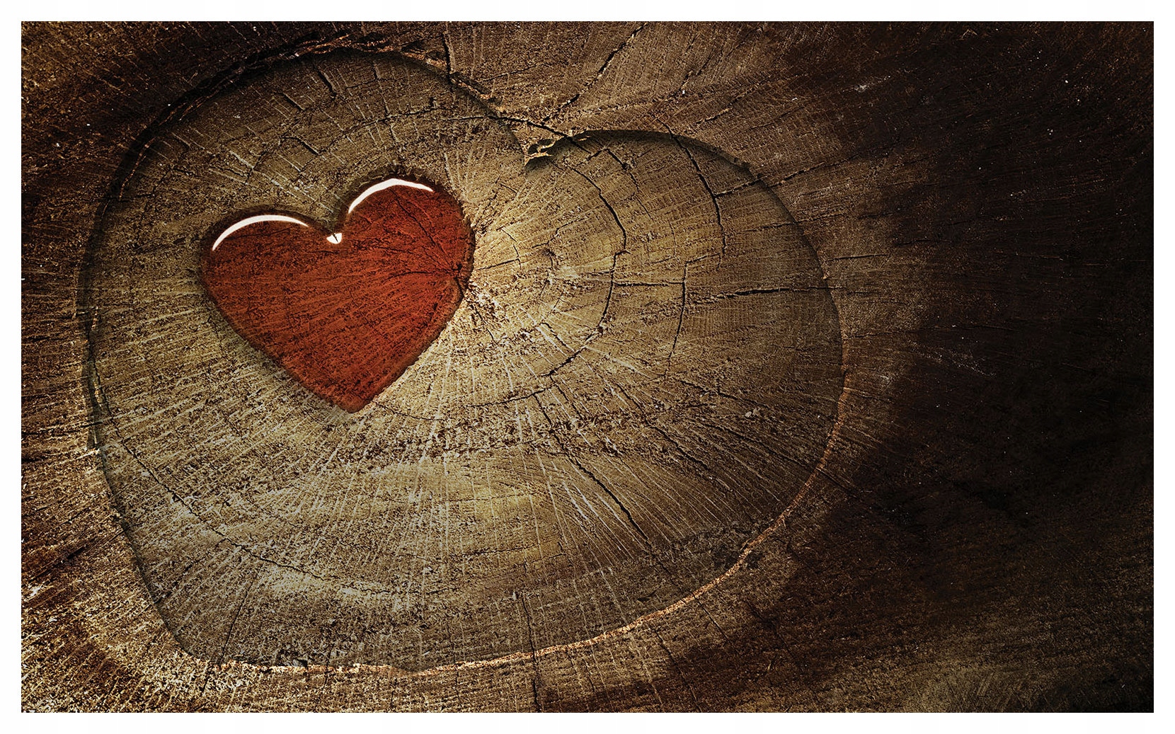 Tapeta Srdce Stromy rustikální minimalismus 416x254 do obývacího pokoje ložnice lepidlo