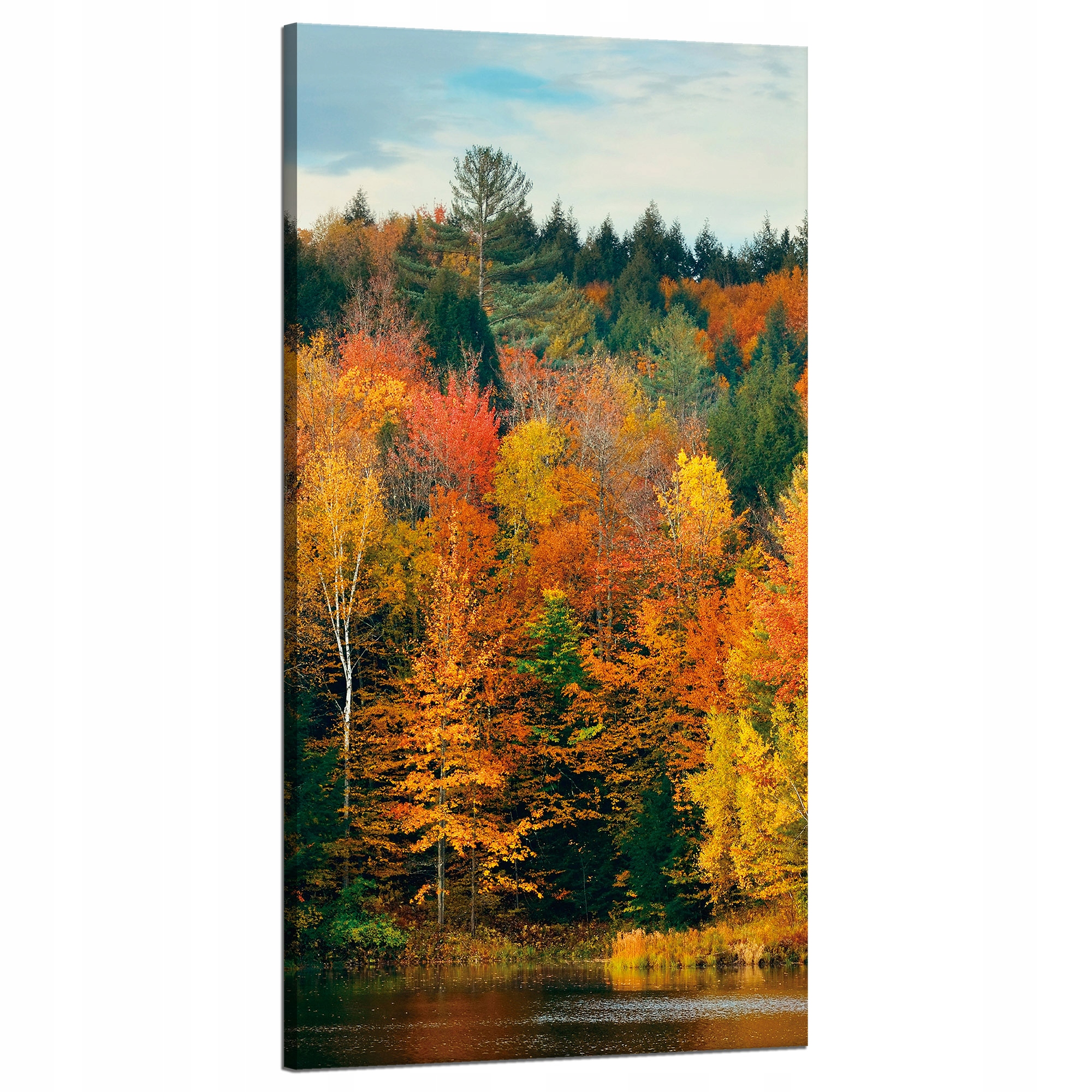 Obraz na plátně Barevné listy Stromy Podzim Příroda 60x120 cm