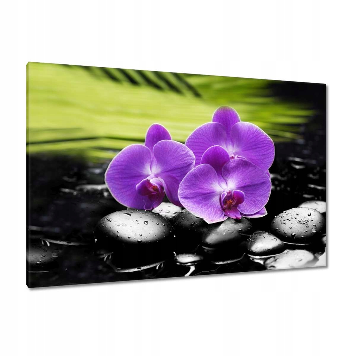 Obrazy 120x80 Orchideje na kamenech