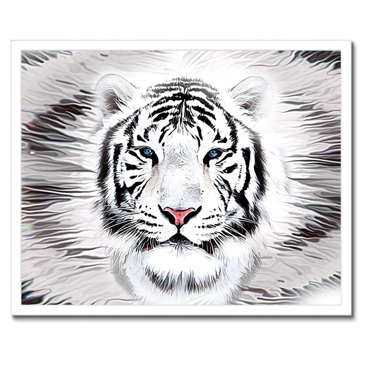 Plakáty v rámu 50x40 Tygr Hlava Zvíře
