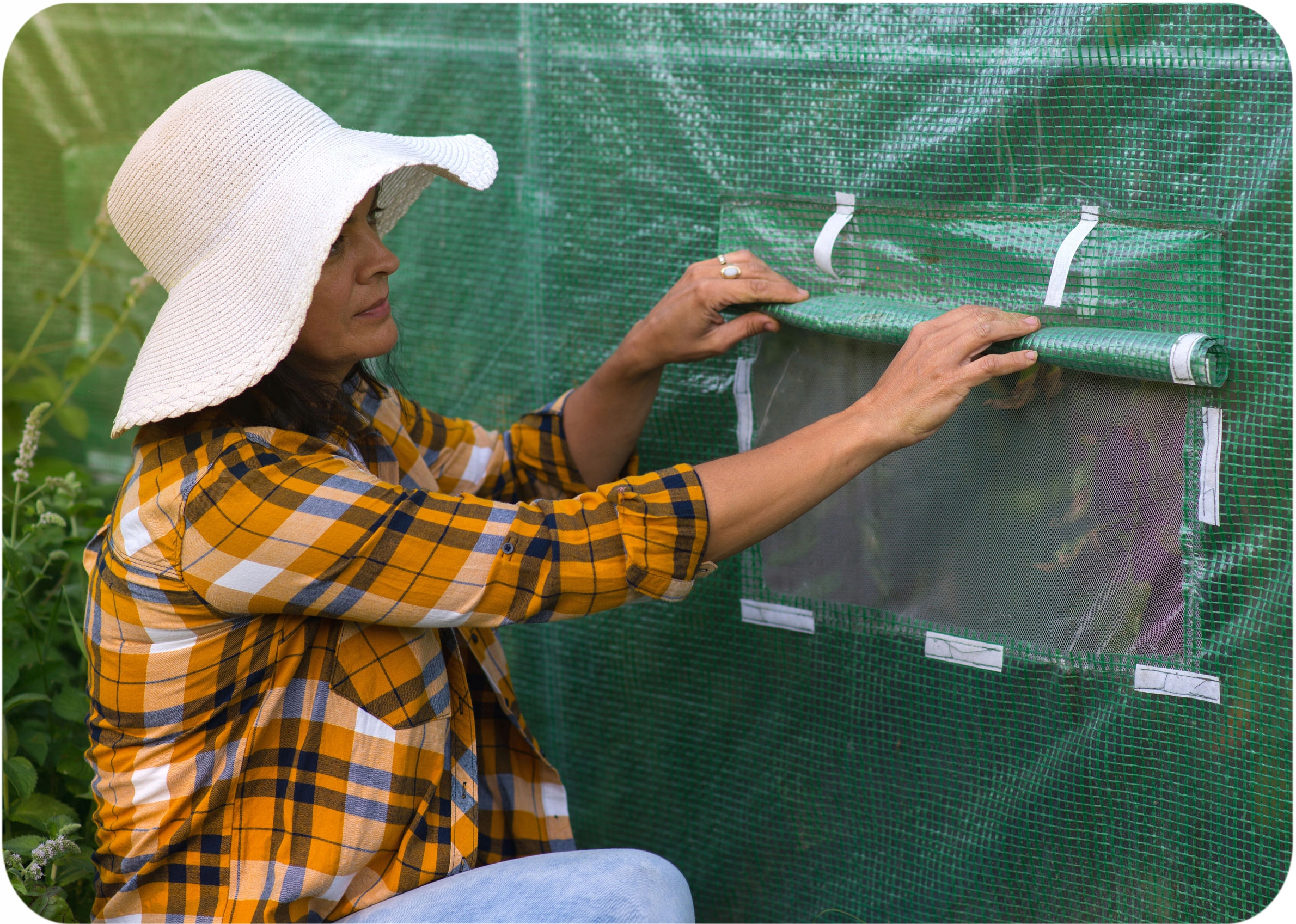 PLONOS TUNEL FOLIOWY OGRODOWY SZKLARNIA 2,5x4m 10m2 GRUBE RURY 25 x 0,7mm Szerokość produktu 250 cm