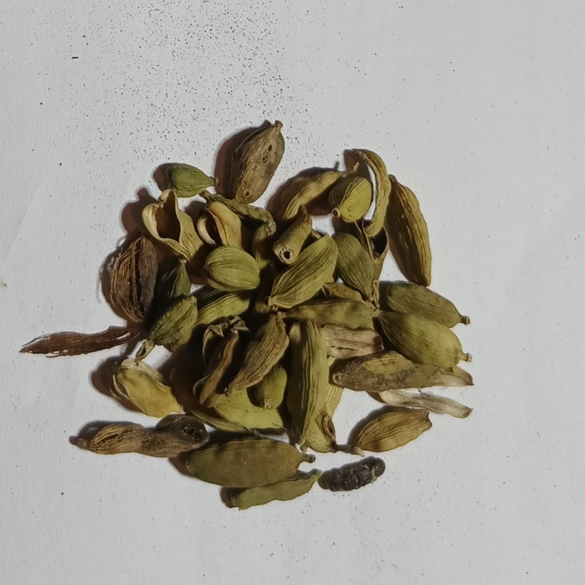 Kardamon Cały Mega Zielony 50 G Rafex