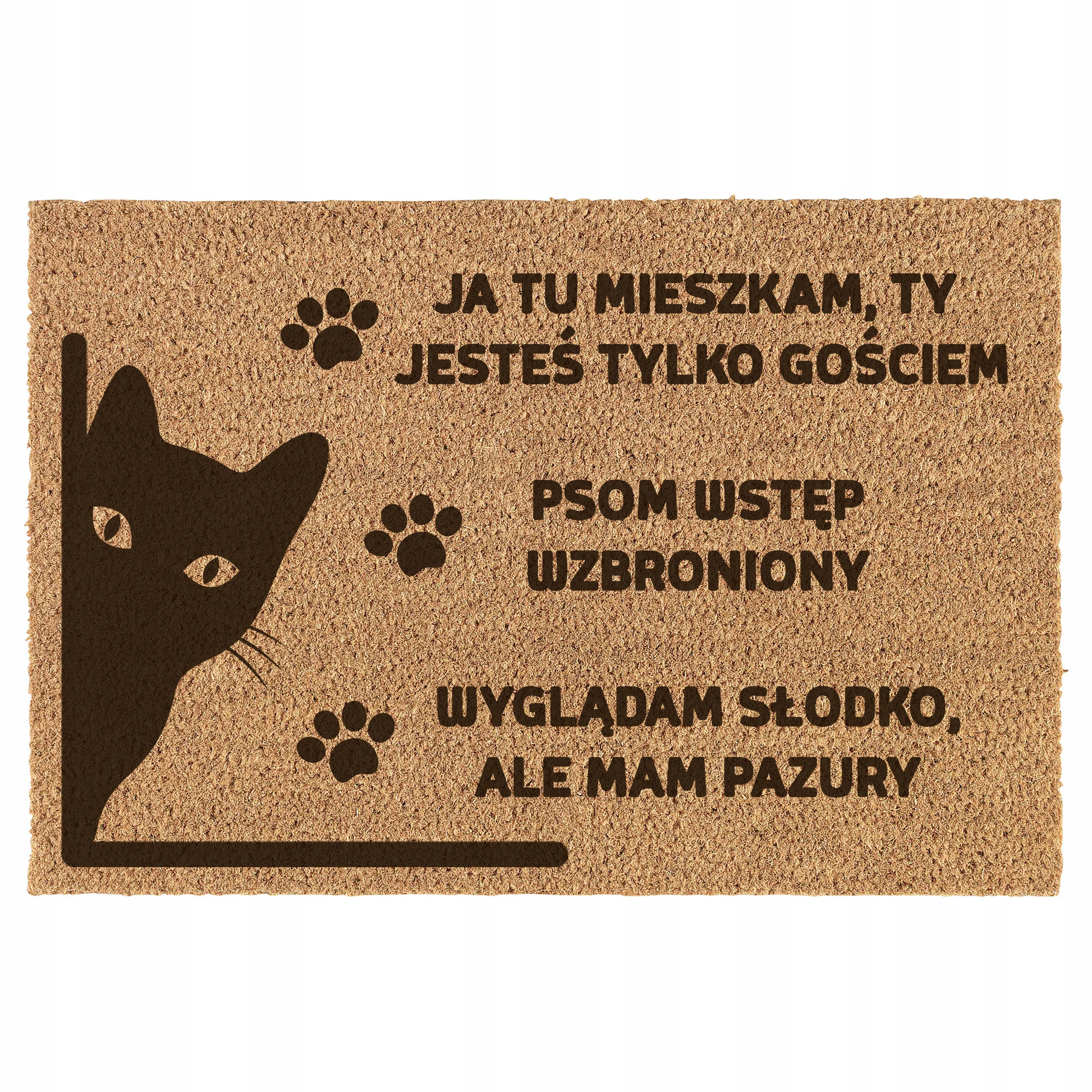 

Wycieraczka pod drzwi Kot Z Kotem śmieszna do domu