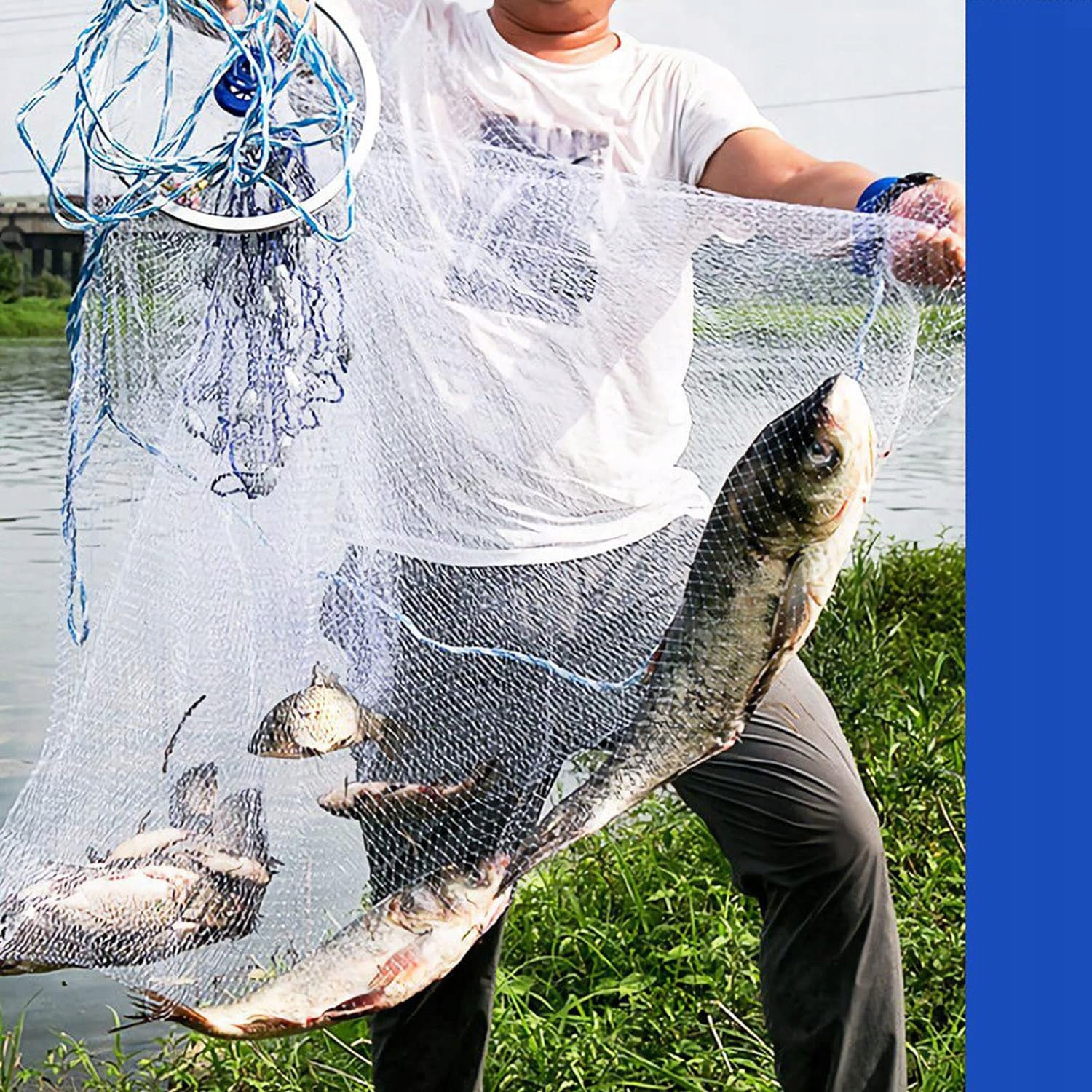 SIEĆ RYBACKA SIEĆ RYBACKA DO RZUCANIA SŁUŻY DO POŁOWU RYB I KREWETEK Model sieć rybacka