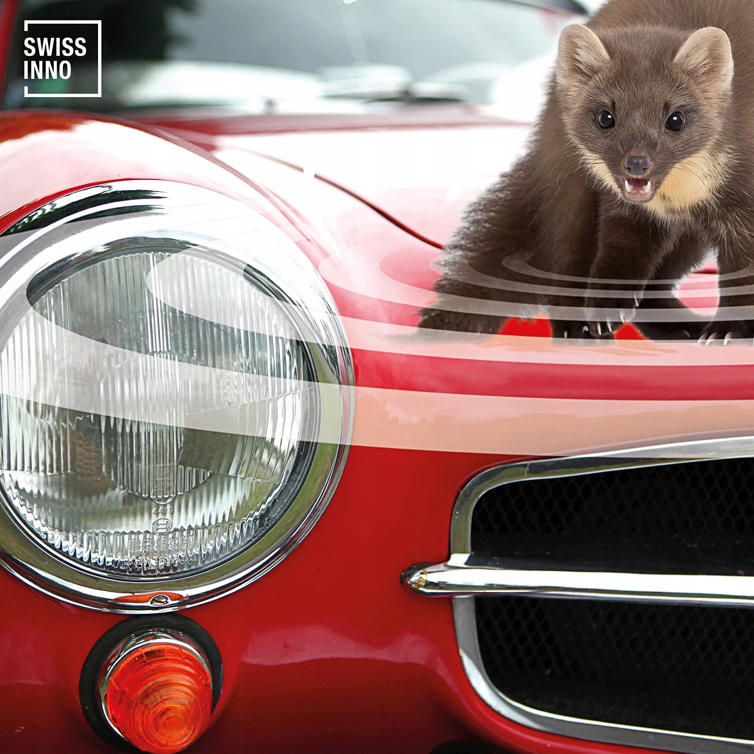 Swissinno Stop kuny w samochodzie - zastosowanie Producent inny