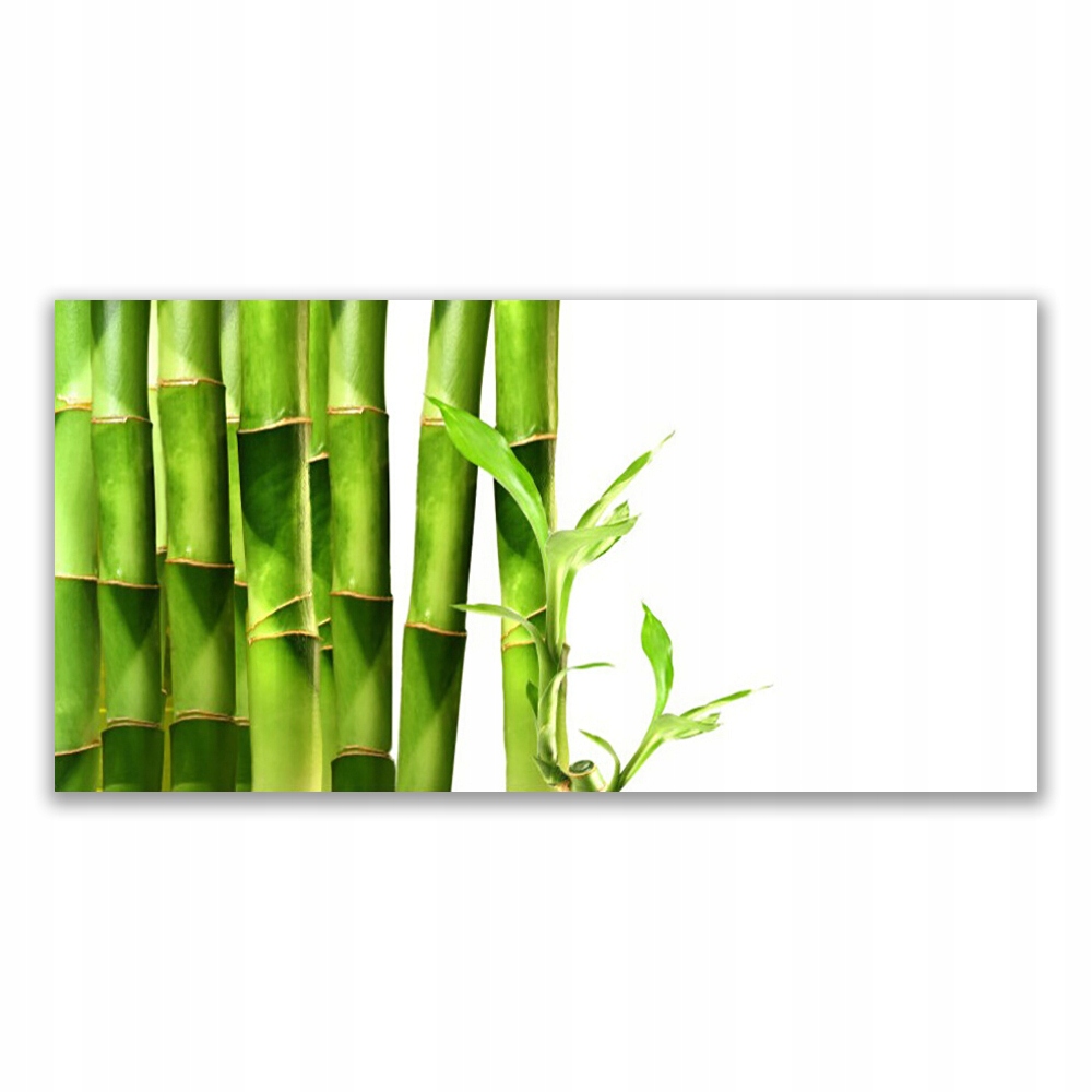 

Obraz akrylowy na prezent 120x60 cm Bambus Roślina