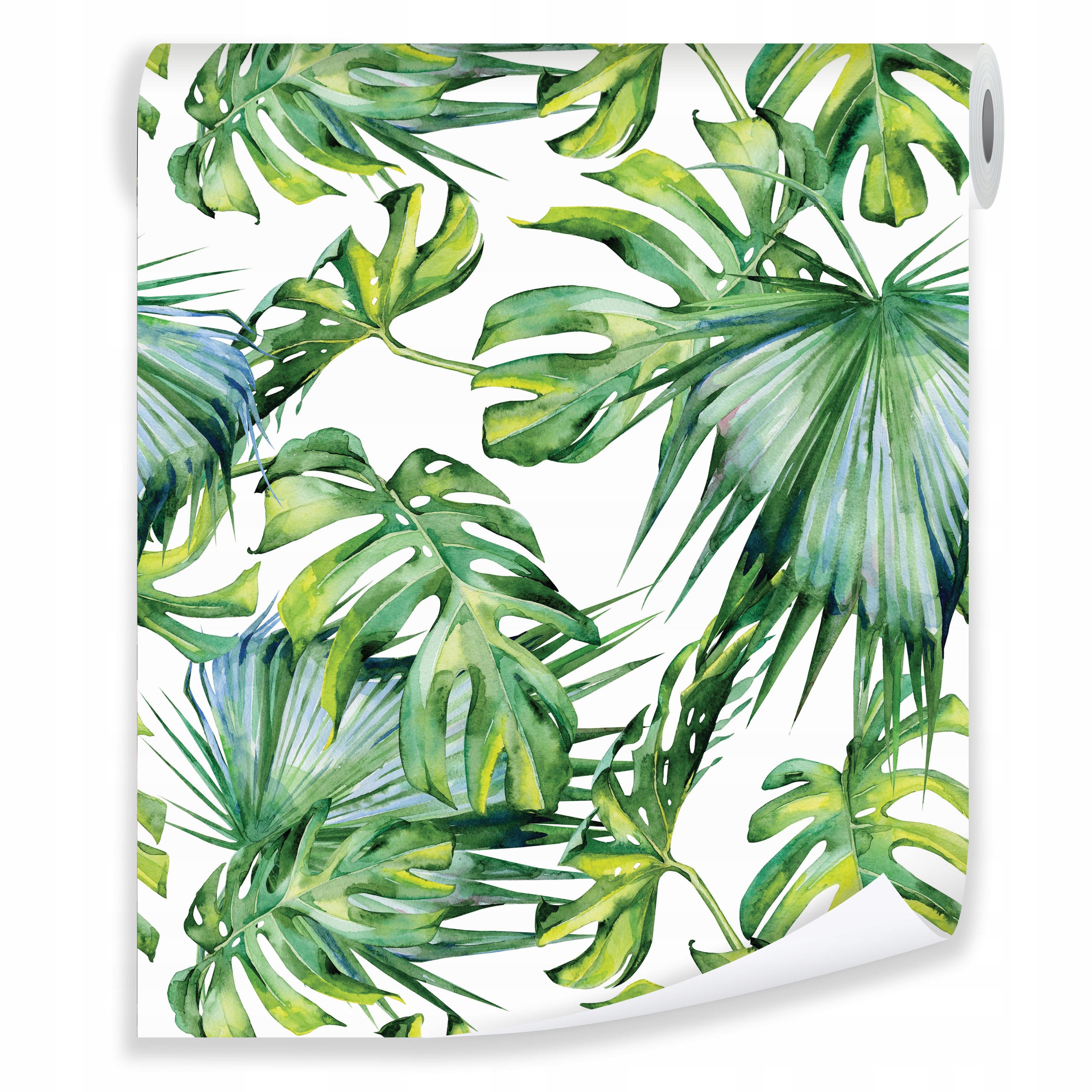 

Tapeta Liście Monstera Na Ścianę Tapety Ścienne
