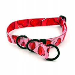 Levně Polostahovací obojek Lollipops Psiakrew 2,5 cm L/XL