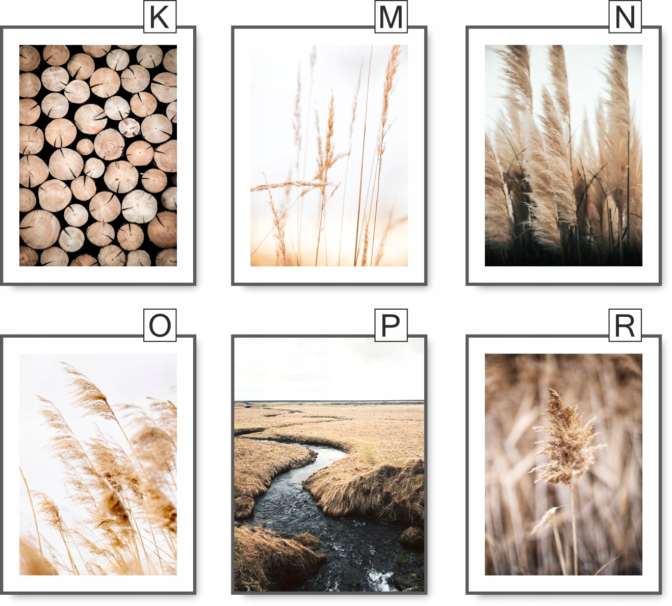 BOHO 21x30 OBRAZ NATURA TRAWA BEŻ plakat #20 Tematyka rośliny