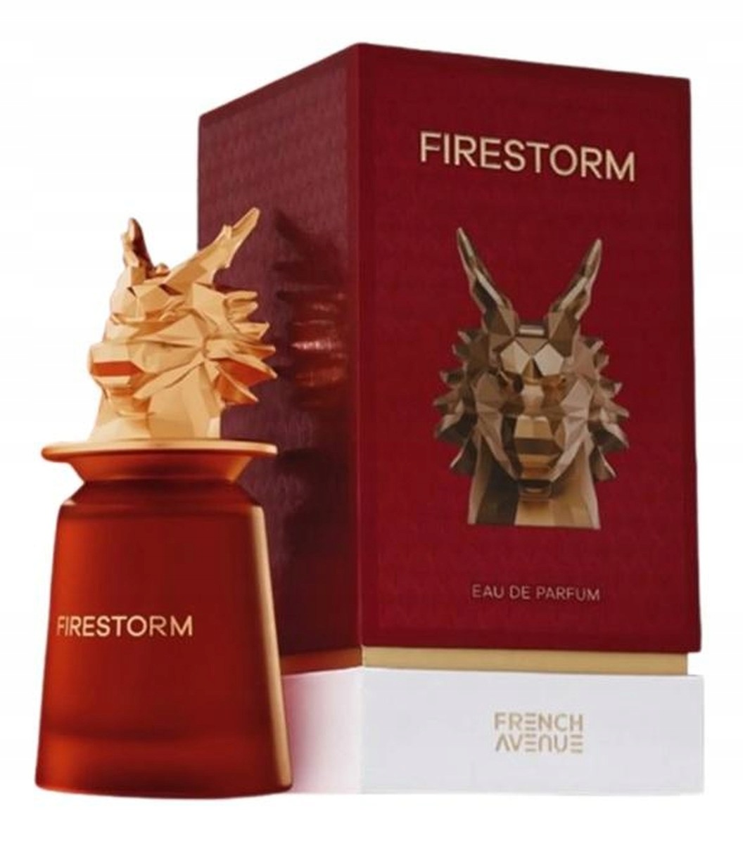 French Avenue Firestorm parfémovaná voda sprej 100 ml