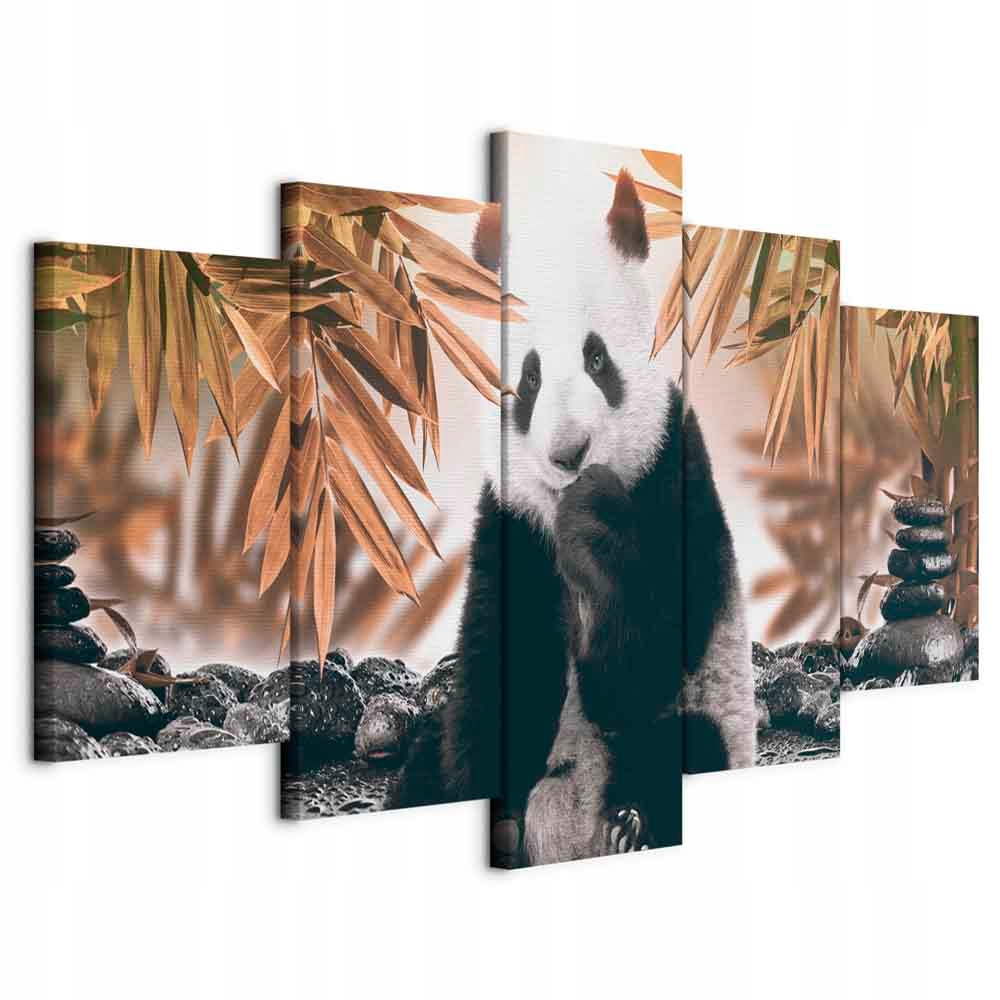 Obraz Triptyk 5cz Panda Asie Zvíře Moderní Do Obývacího Pokoje Dekorace 200x100