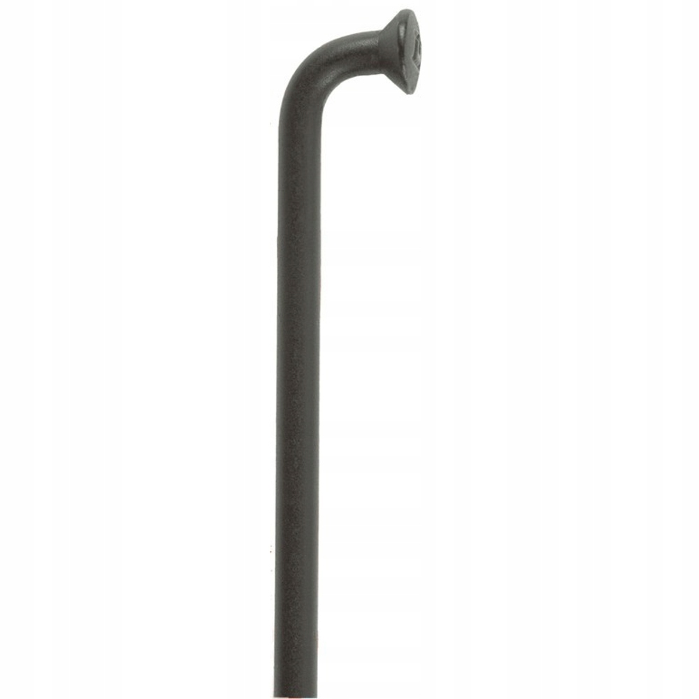 Paprsek Dt Swiss Champion 250 mm černý 100 ks
