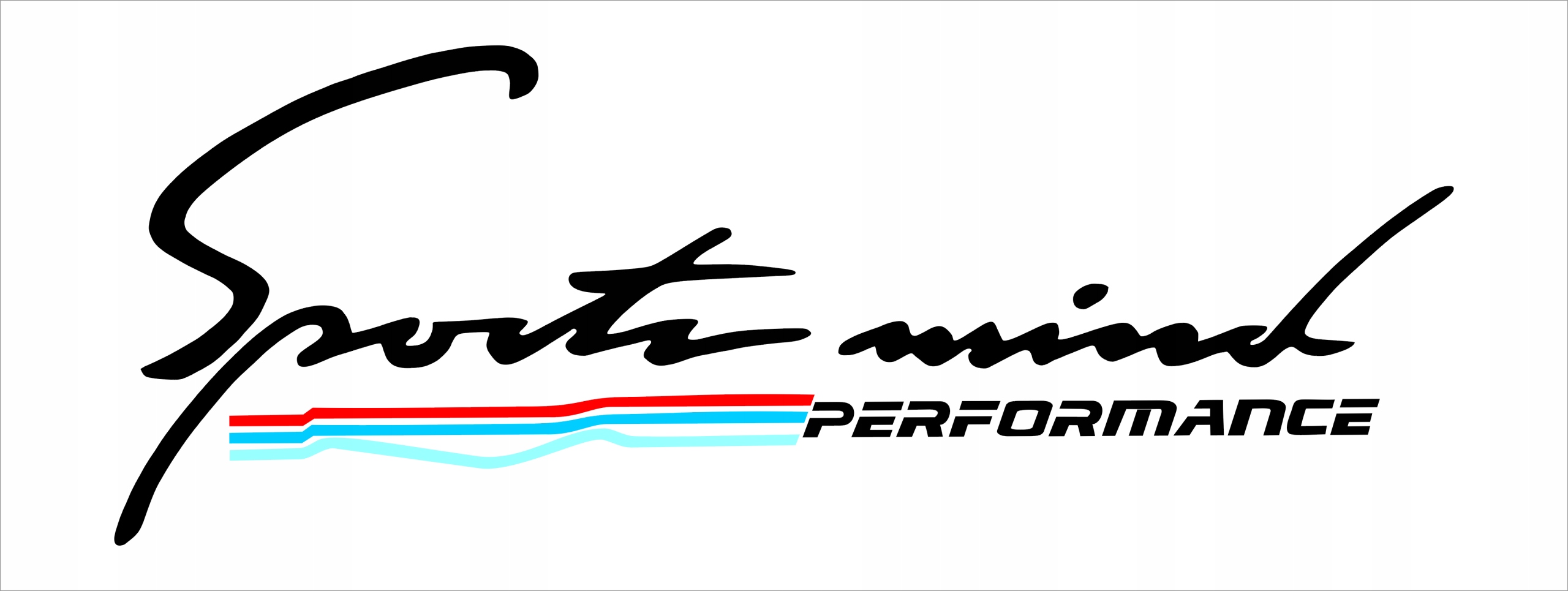 Performance now. БМВ со спортивными наклейками. M Performance наклейка. Наклейка Nurburgring Performance BMW. Sports Mind Performance наклейка.