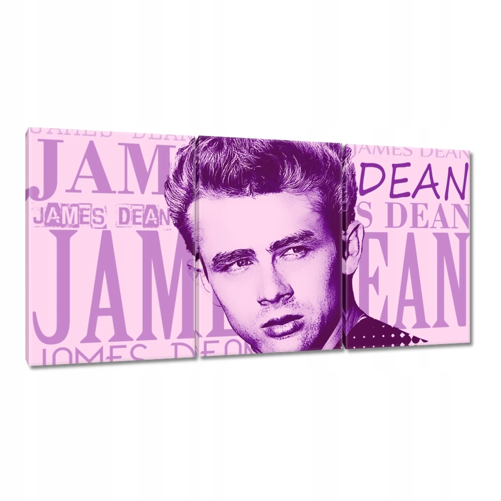 

Obrazy 240x120 James Dean Portret