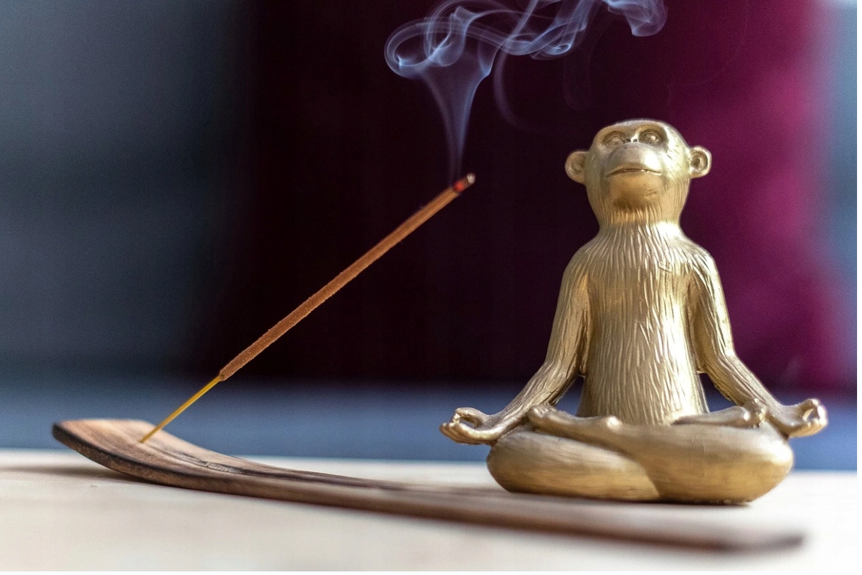 Kadzidełka zapachowe EUKALIPTUS 20szt HEM Kod producenta HEM.KAD.01