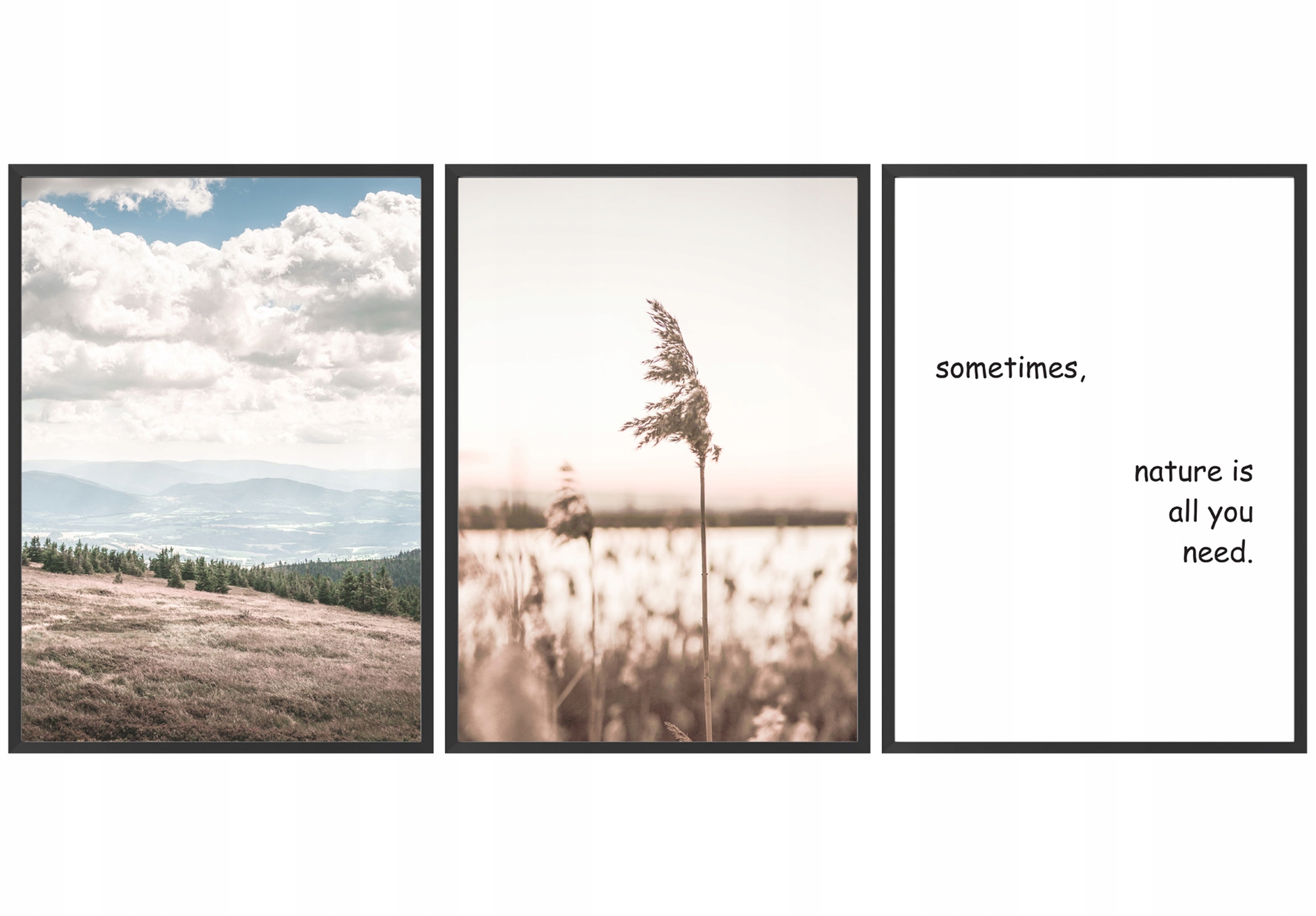 Zestaw plakatów 3 x 30x40 cm Natura