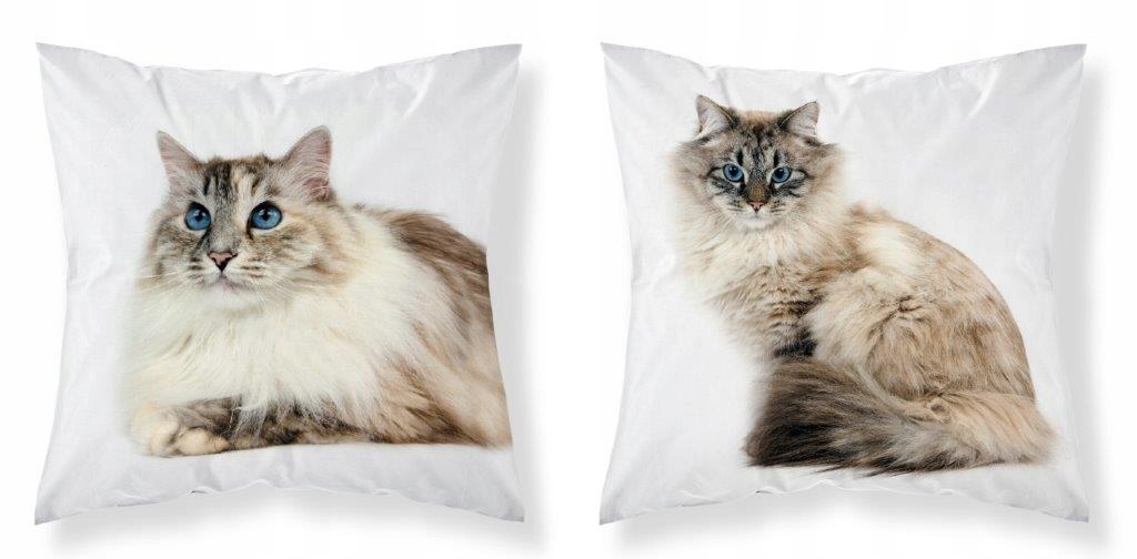 

Poszewka Dwustronna 40x40 Kot Koty Cat Zwierzęta