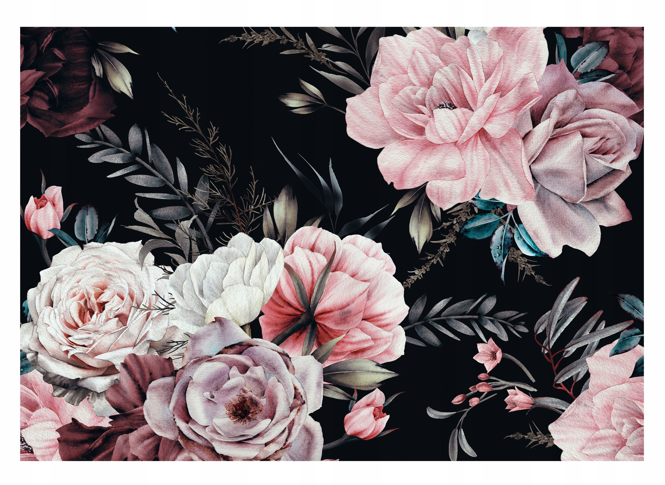 Fototapeta Kvety Peonie Ruže Čierne pozadie 416x254