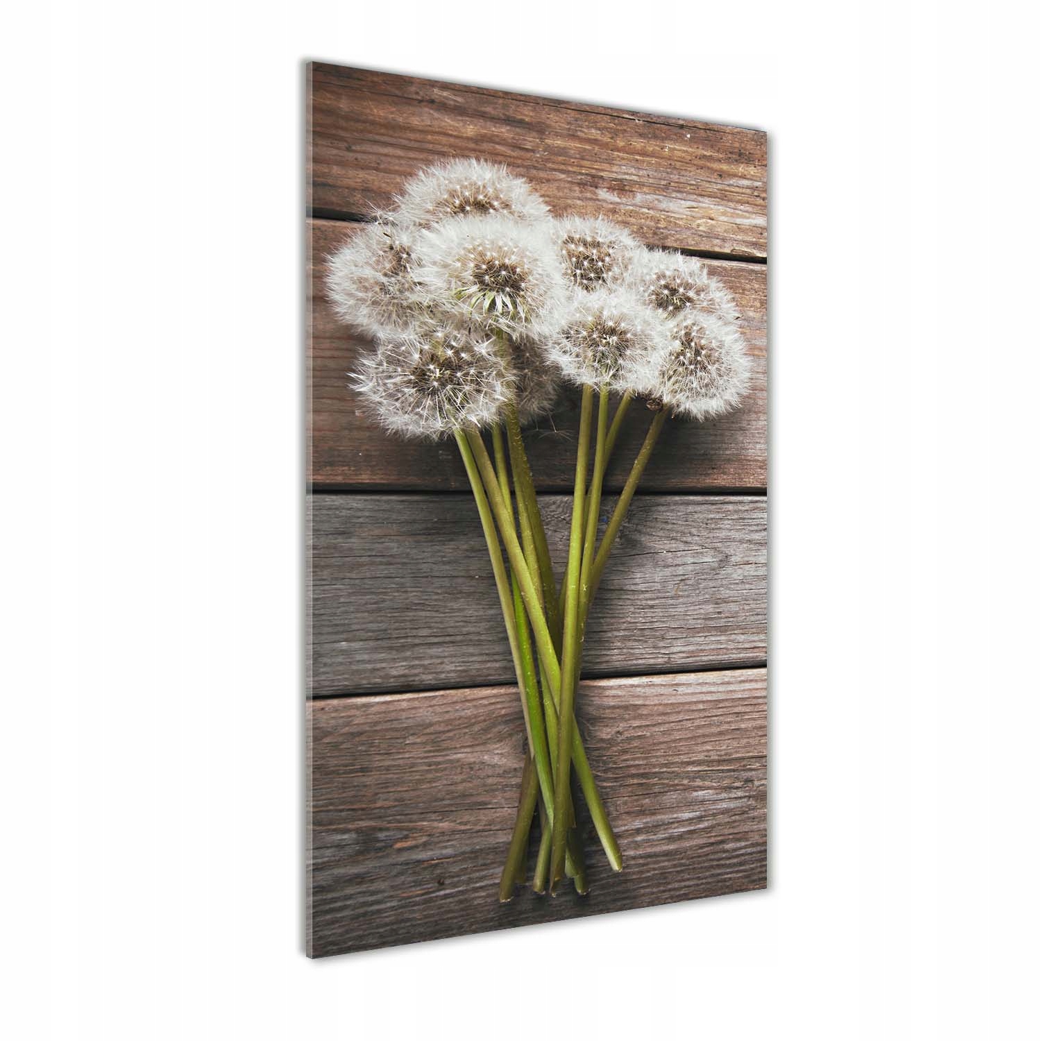 

Foto obraz na szkle Bukiet dmuchawców 70x140 cm
