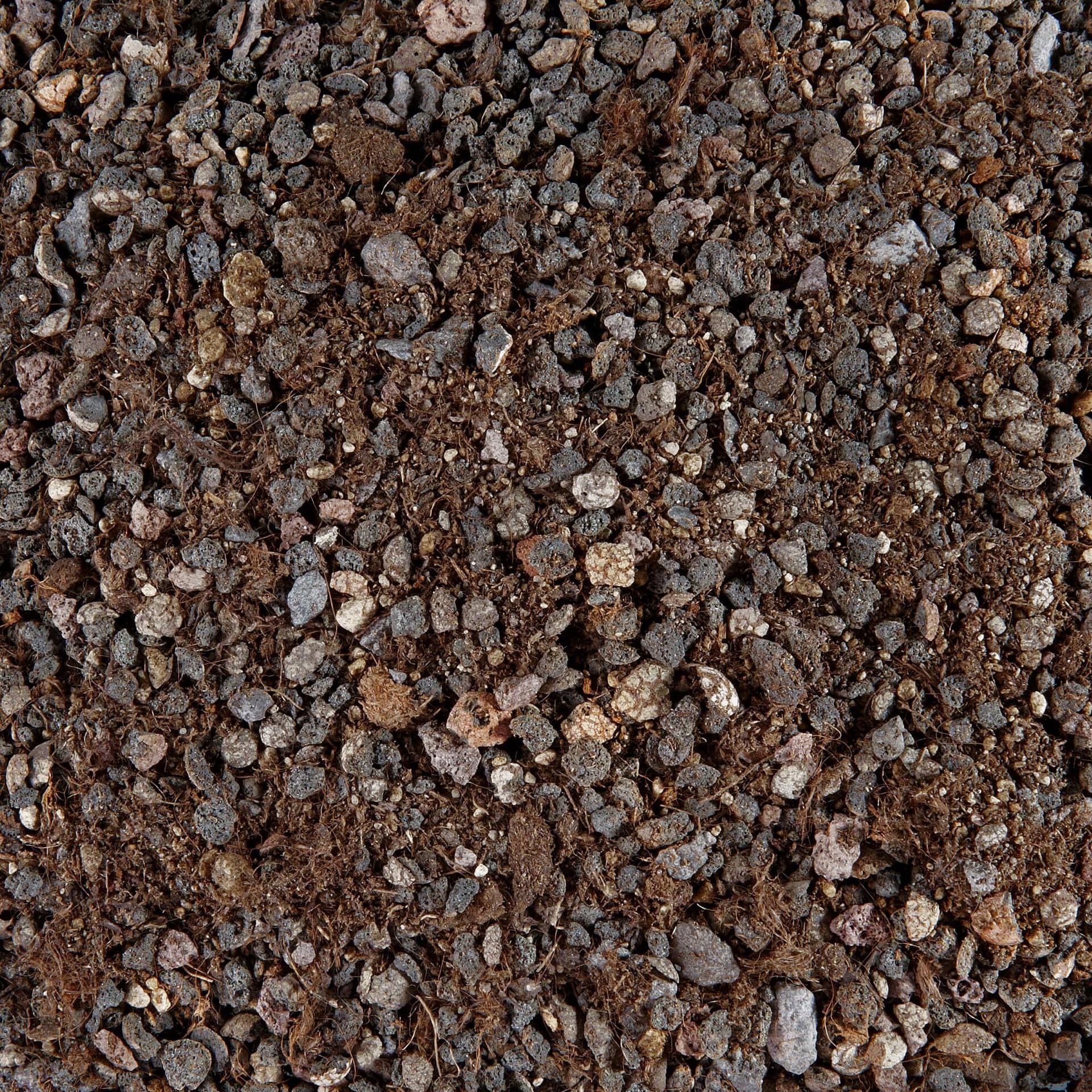 Lechuza TerrraPON- podłoże na balkony i tarasy 6L Rodzaj inna