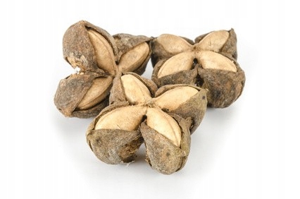 OLEJ SACHA INCHI 100% ORGANIC, 20ml, ESENT