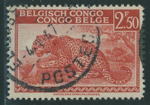Congo Belge 2,50 fr. - Lampart / 1