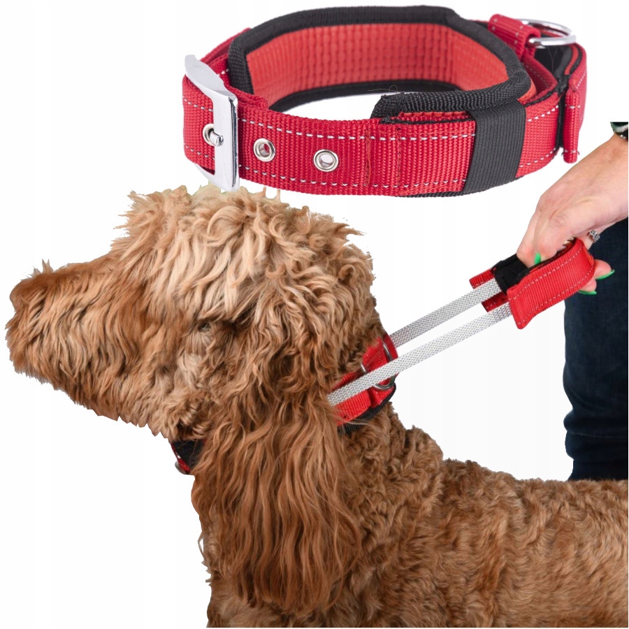 Levně Obojek S Rukojetí Pro Psa S Krátkou Rukojetí Vodítko Široká, Silná, S Regulací vel. M.