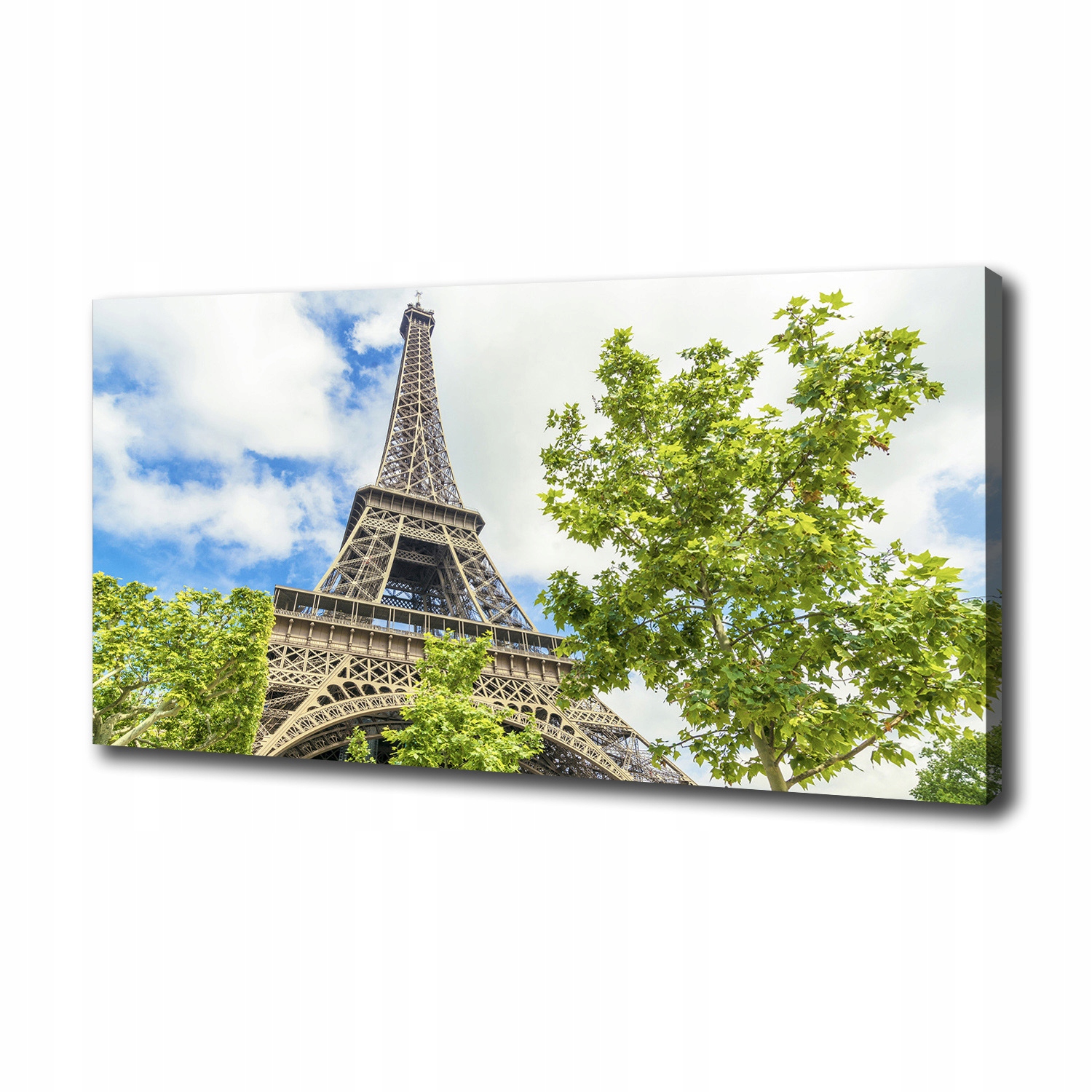 

Foto obraz na płótnie Wieża Eiffla Paryż 100x50 cm