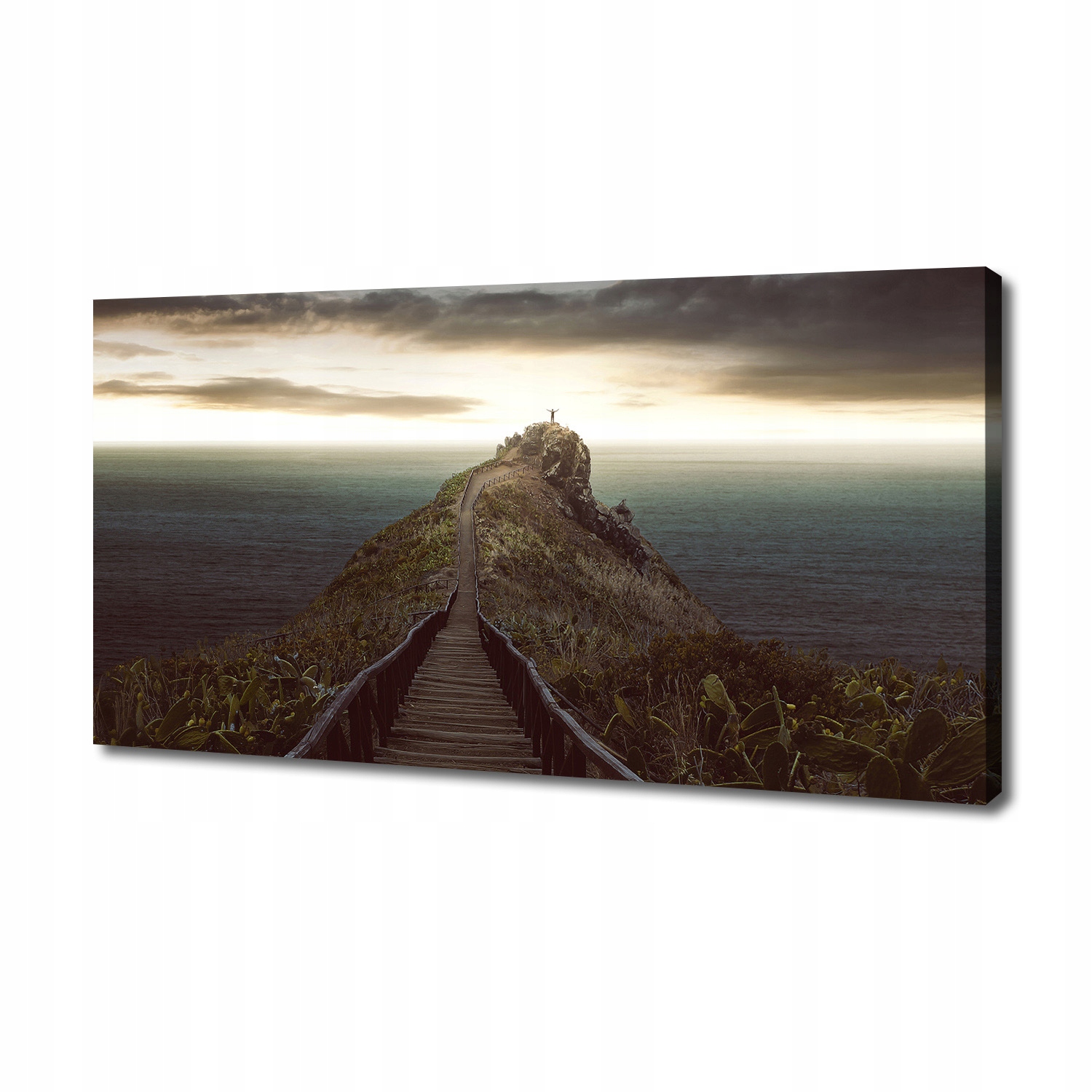Fotoobraz obraz na plátně Cesta na skále 140 x 70 cm