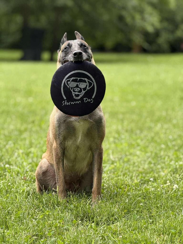 Neoprenový disk Frizbii pro psa Stormm Dog M 22 cm Set