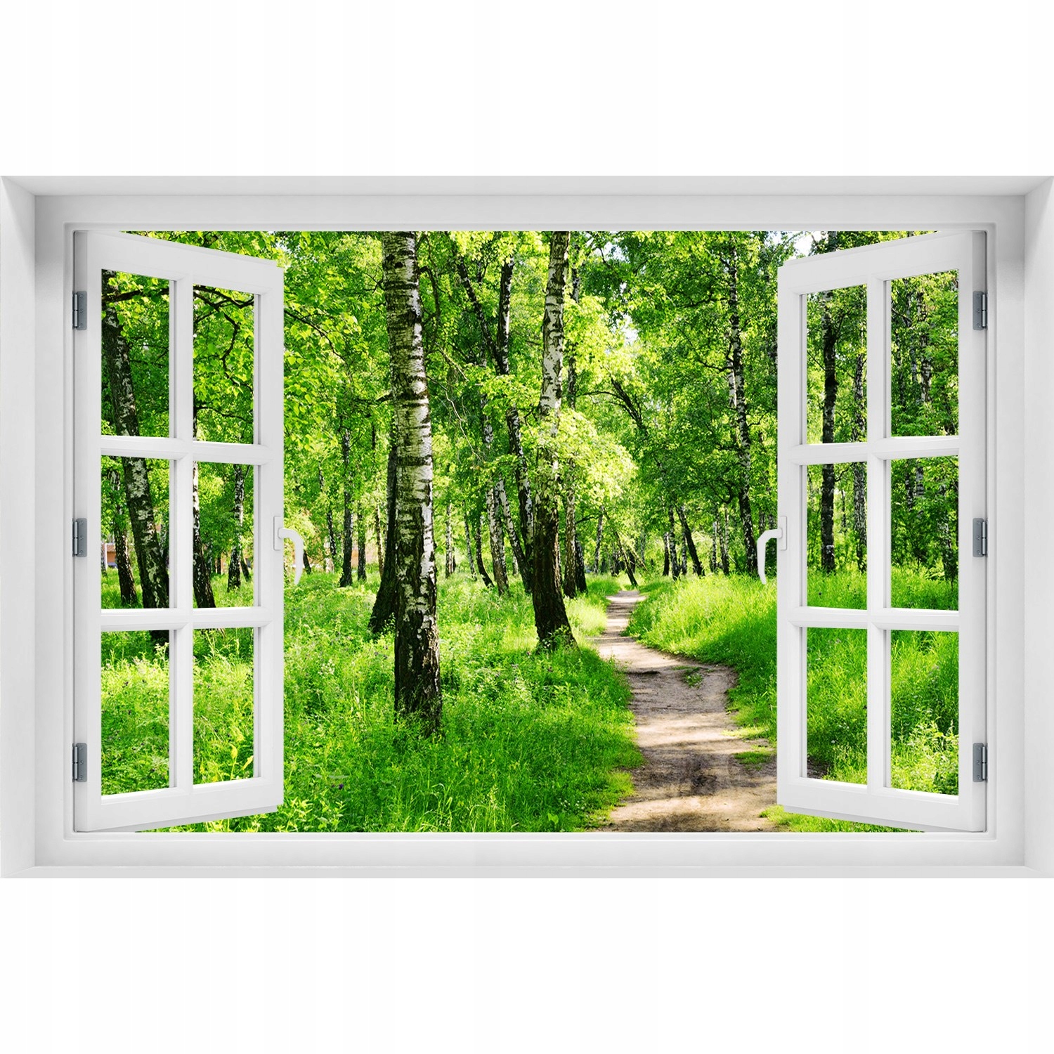 

Naklejka Fototapeta Okno widok Brzozowy las 120x80