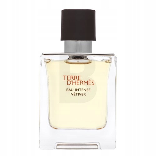 Hermès Terre D'Hermes Eau Intense Vetiver parfémovaná voda pro muže 50 ml