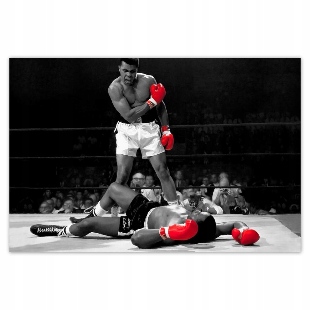 

Naklejki 60x40 Muhhamad Ali Boxer Bokser