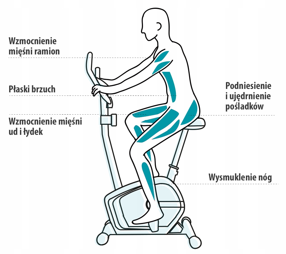 ROWER STACJONARNY rowerek MAGNETYCZNY Treningowy Domowy LCD - BEAT ZIPRO Wysokość produktu po rozłożeniu 127 cm