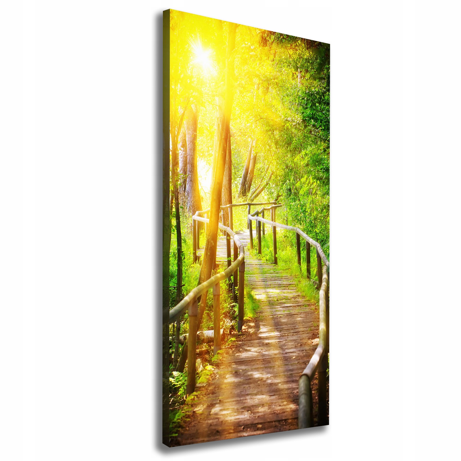 

Foto obraz na płótnie Ścieżka w lesie 50x125 cm