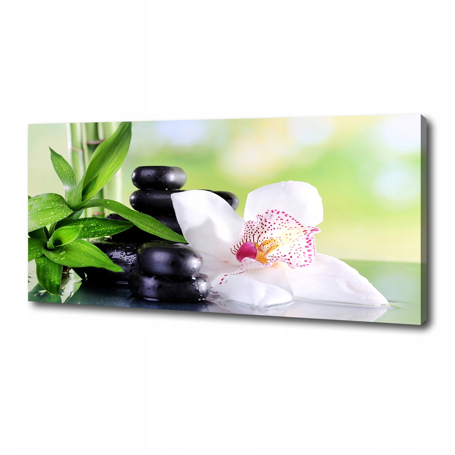 

Foto obraz canvas na ścianę Orchidea 125x50 cm