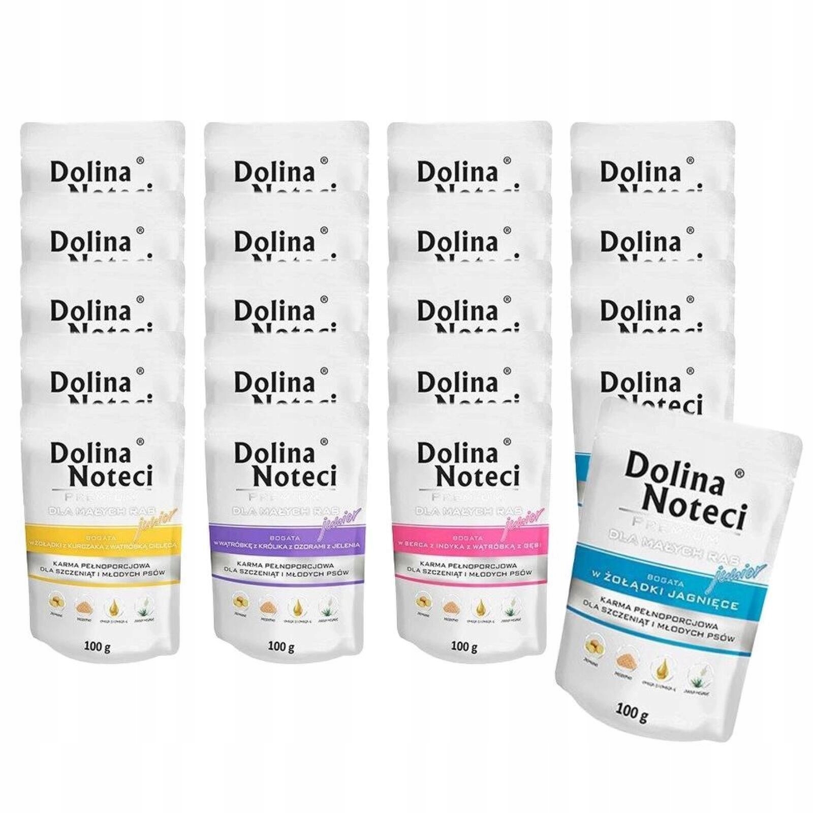 Dolina Noteci Premium Dla Małych Ras Junior MIX 20X100G