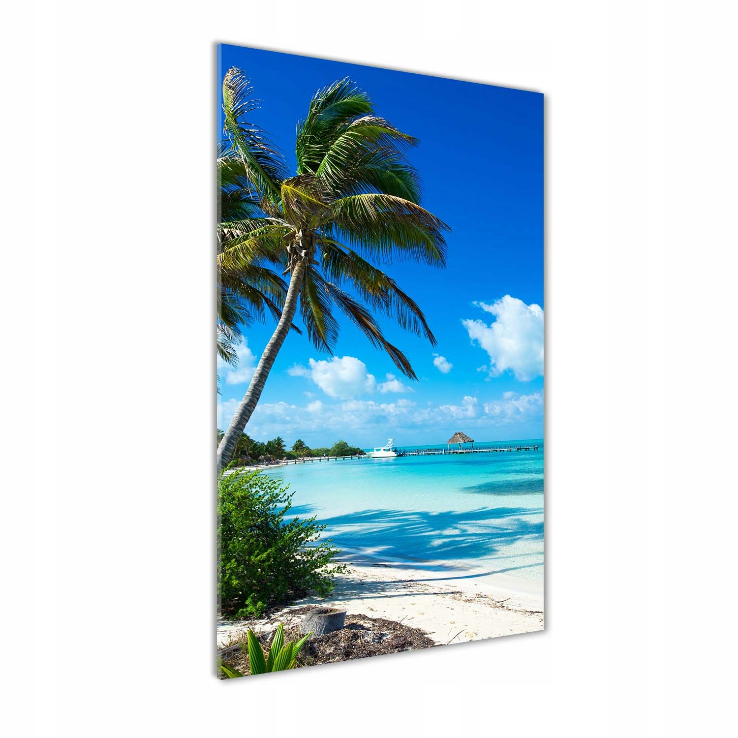 

Foto obraz szklany pionowy Tropikalna plaża 60x120