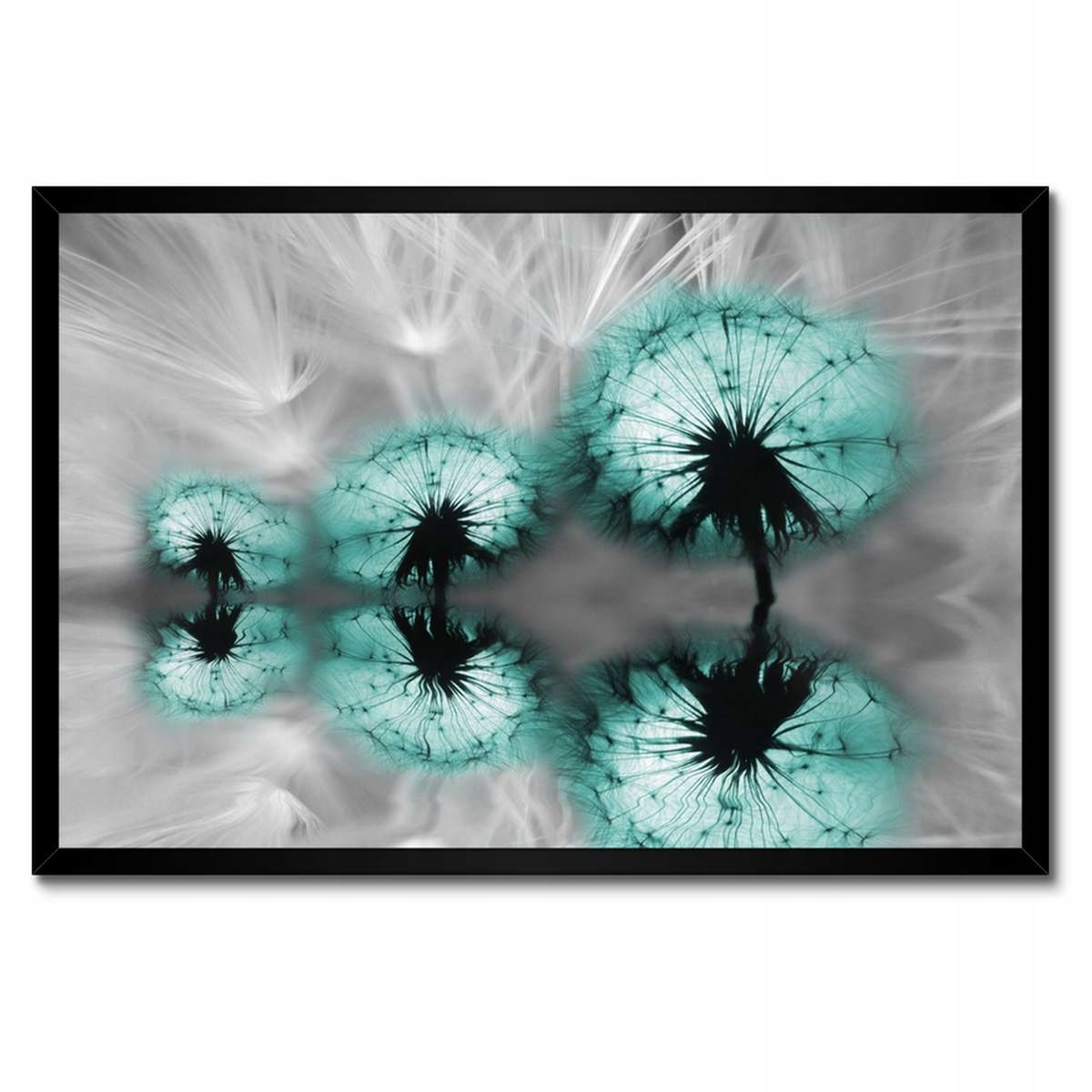 Plakáty v rámu 60x40 Tyrkysové pampelišky Květina